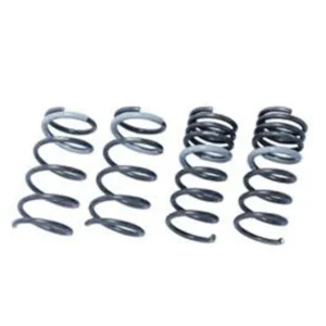 Molle Ribassate -25/-20 mm Nissan 370Z Z34 – Funtoride Lowering Springs – Tanabe